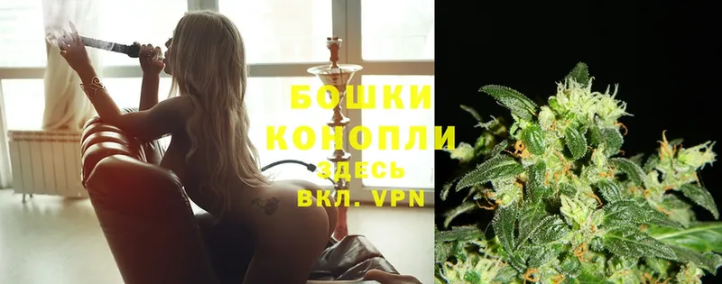 Бошки марихуана Ganja  Вельск 